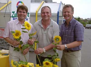 Bild Sonnenblumen
